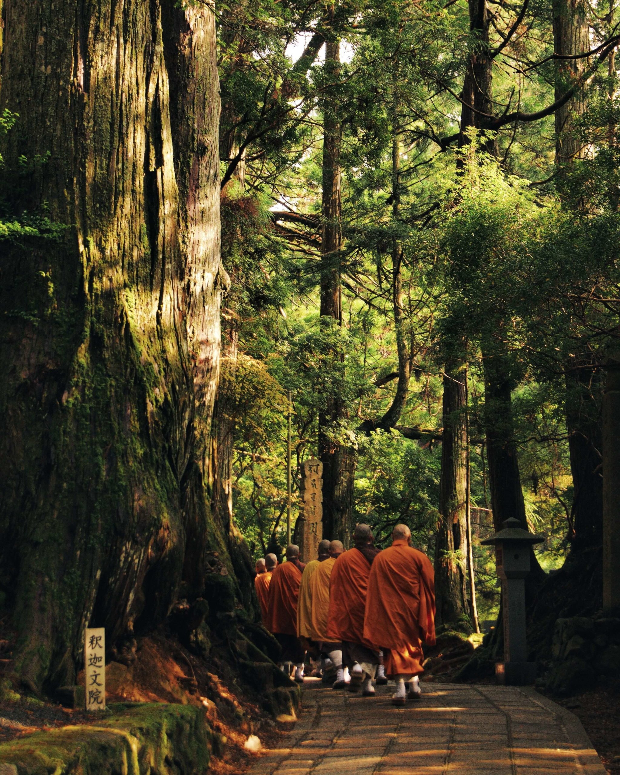 Buddhist monks walking Mount Koya Japan