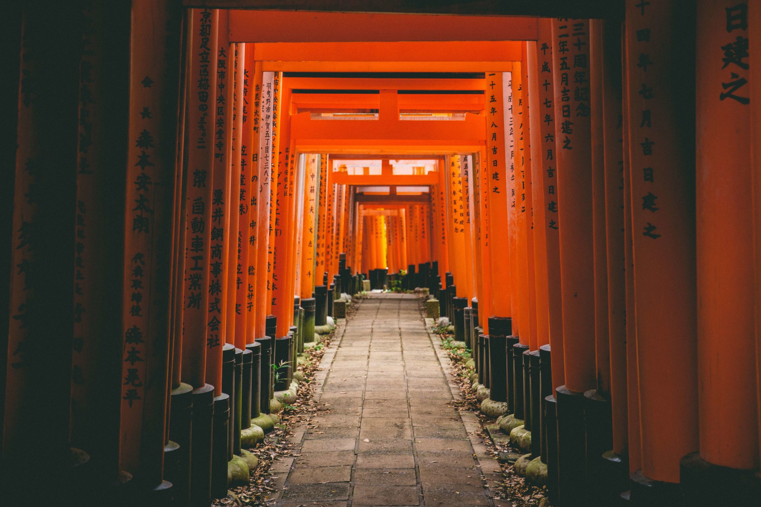 Fushimi Inari Taisha Shrine torii Kyoto Japan