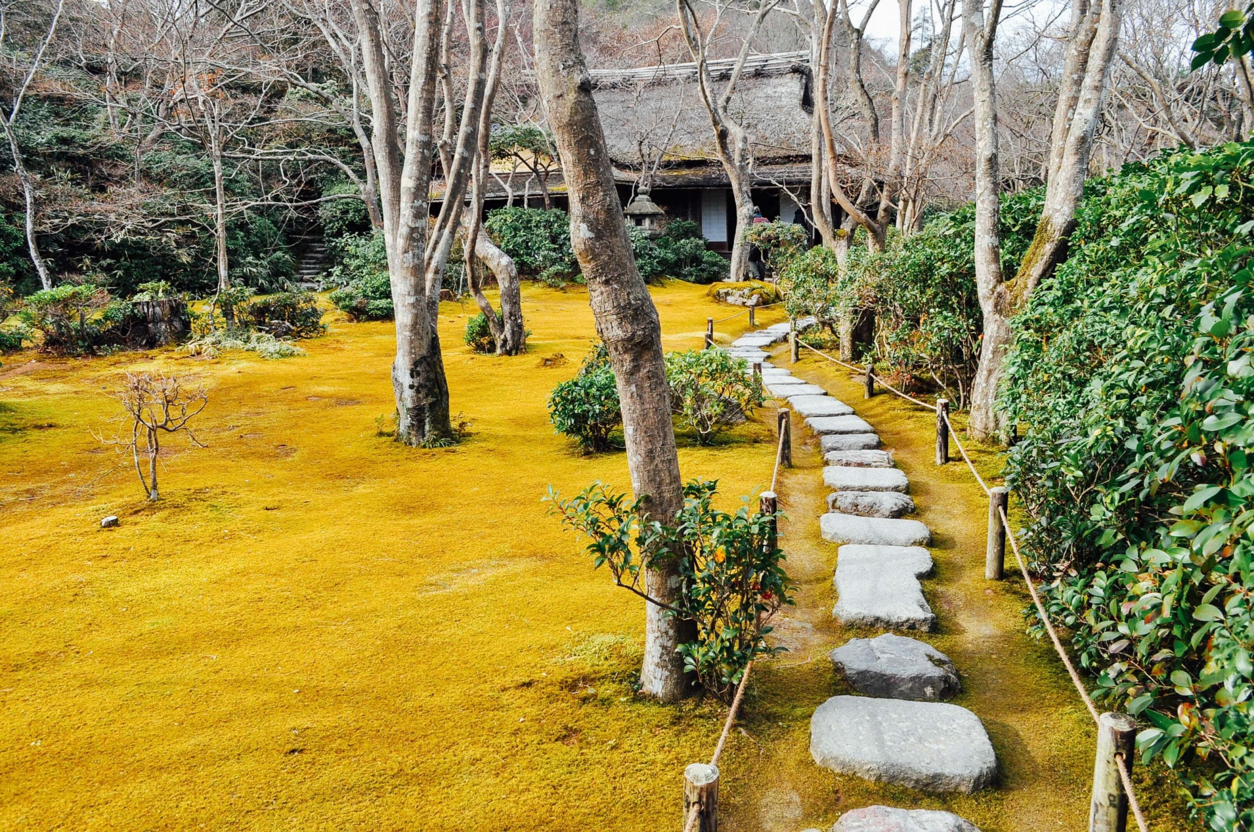 Garden Kyoto Japan